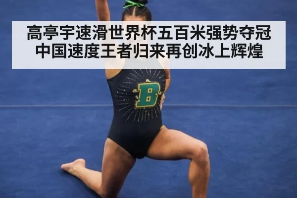 高亭宇速滑世界杯五百米强势夺冠中国速度王者归来再创冰上辉煌